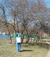 В Туймазах приступили к обработке парка от клещей