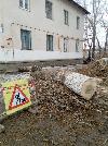 Работы по спилу деревьев