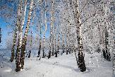 Погода
