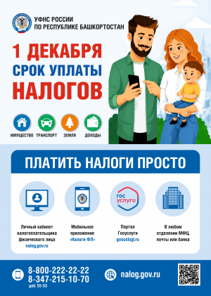 1 декабря срок уплаты налогов!