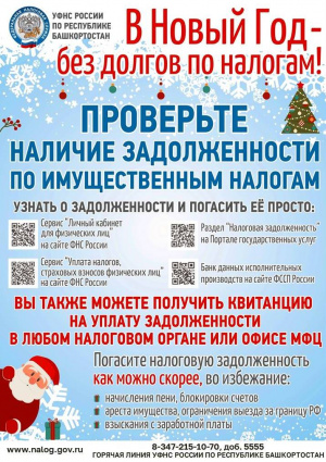 В Новый год-без долгов по налогам!