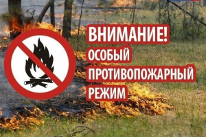 На территории республики с 30 апреля по 12 июня 2026 года будет действовать особый противопожарный режим