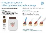 Что делать, если присосался клещ?