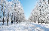 Погода