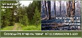 Внимание!
