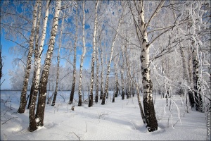 Погода