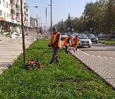 Информационное сообщение