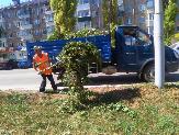 Информационное сообщение