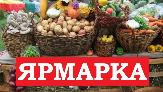 Сельскохозяйственная ярмарка в городе Туймазы