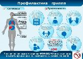 Профилактика гриппа