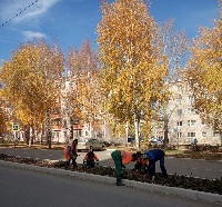 Информационное сообщение