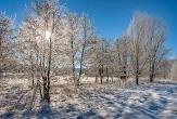 Погода
