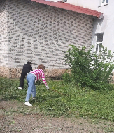Информационное сообщение