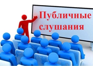 Публичные слушания муниципальной программы