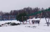 До Нового 2023 года 2023 осталось 37 дней