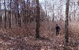 Информационное сообщение