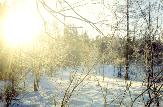 Погода