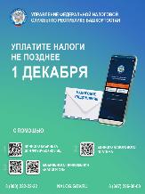 Информационное сообщение