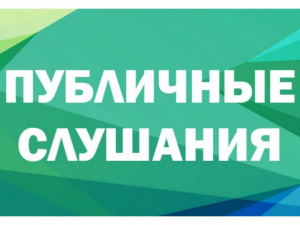 Публичные слушания
