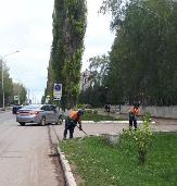 Информационное сообщение
