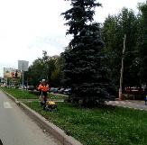 Информационное сообщение