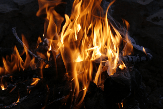 Аномальная жара привела к увеличению количества пожаров