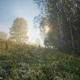 Погода
