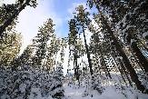 Погода