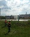 Работы по покосу травы