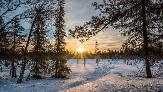 Погода