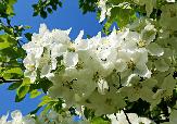 Погода