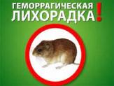 Информационное сообщение