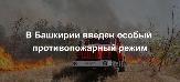 Внимание!