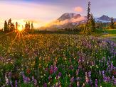 Погода