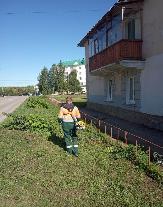 Информационное сообщение