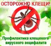 Профилактика клещевого вирусного энцефалита