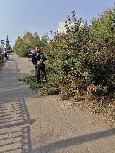 Информационное сообщение