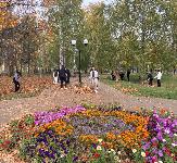 Информационное сообщение