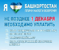 До 1 декабря необходимо заплатить налог за 2024 г.