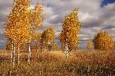 Информационное сообщение