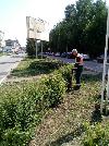 Информационное сообщение