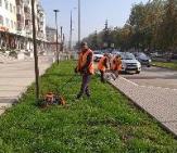Информационное сообщение