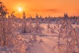 Погода