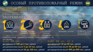 В Республике вводится особый противопожарный режим