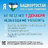 1 декабря - срок уплаты имущественных налогов!