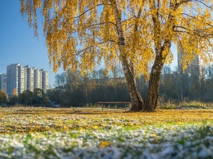 Погода