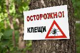 Напоминаем  гражданам о том, как уберечься от клещевого энцефалита