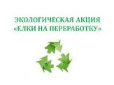 В Туймазах акция «Ёлки – на переработку!»