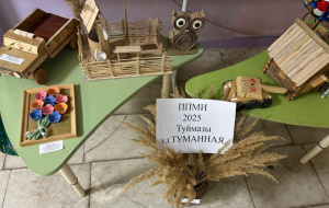 ППМИ