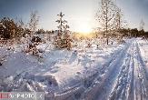 Погода